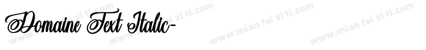 Domaine Text Italic字体转换